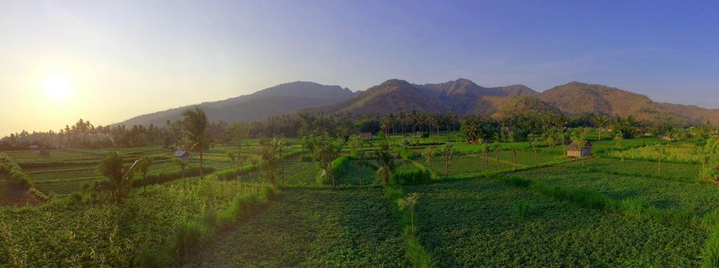 D'Sawah Amed Homestay & Warung Cameră foto